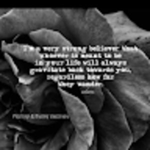 Meet your Posher, Fayenell